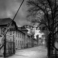 miniatura Drugie pokolenie po Holokauście
